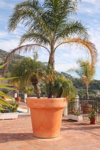 Villa El Nido نيرخا المظهر الخارجي الصورة